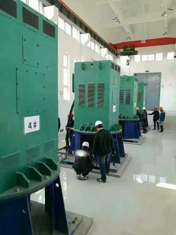 YKK8007-10某污水处理厂使用我厂的立式高压电机安装现场